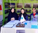 حضور فعال اداره کل ورزش و تندرستی در نمایشگاه استقبال از نودانشجویان سال تحصیلی ۱۴۰۵–۱۴۰۴